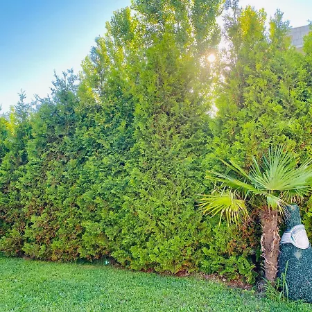 Aпартаменти мини в бей вю 4* Carevo