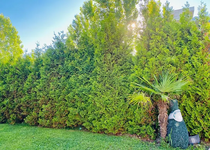 Aпартаменти мини в бей вю 4* Carewo