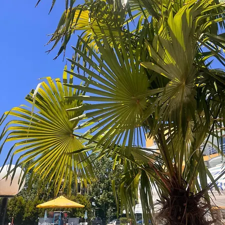 아파트호텔 Aпартаменти мини в бей вю 사레보