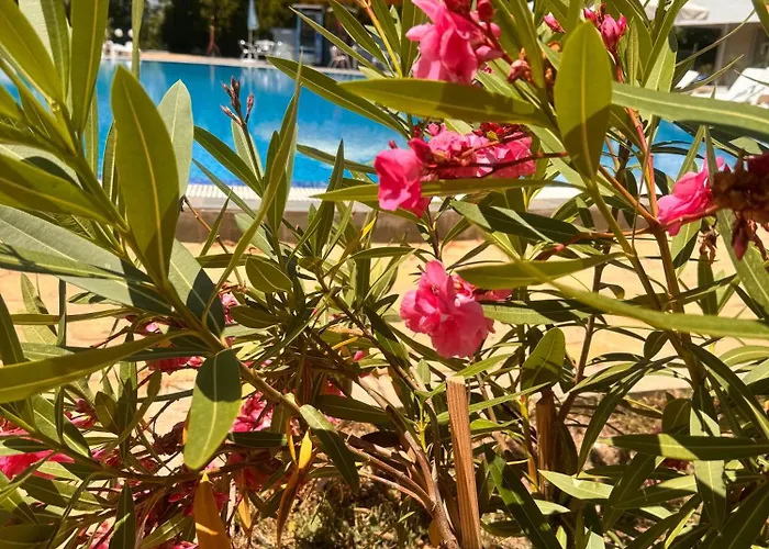 Aпартаменти мини в бей вю Aparthotel