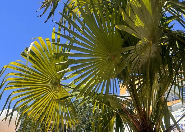 Aparthotel Aпартаменти мини в бей вю Zarewo